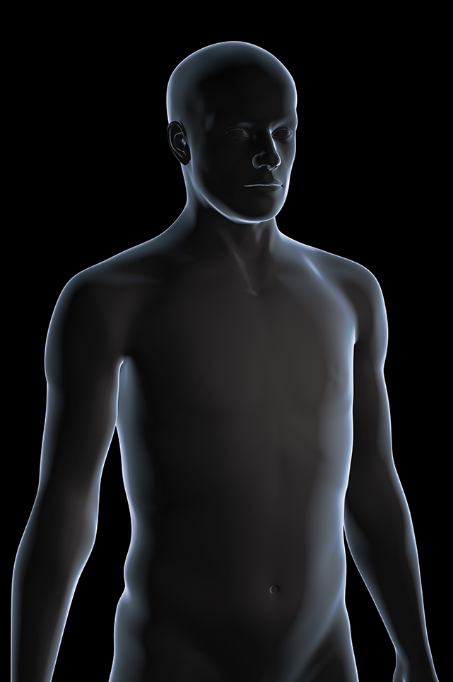 Human male body