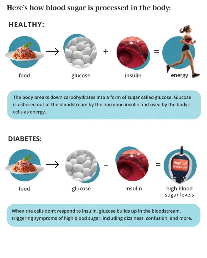 Process in The Body Copy