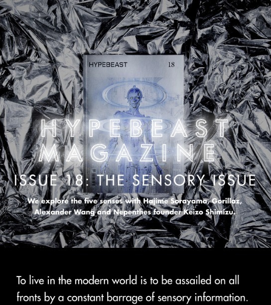 Magazine Sensory Issue Mobile
