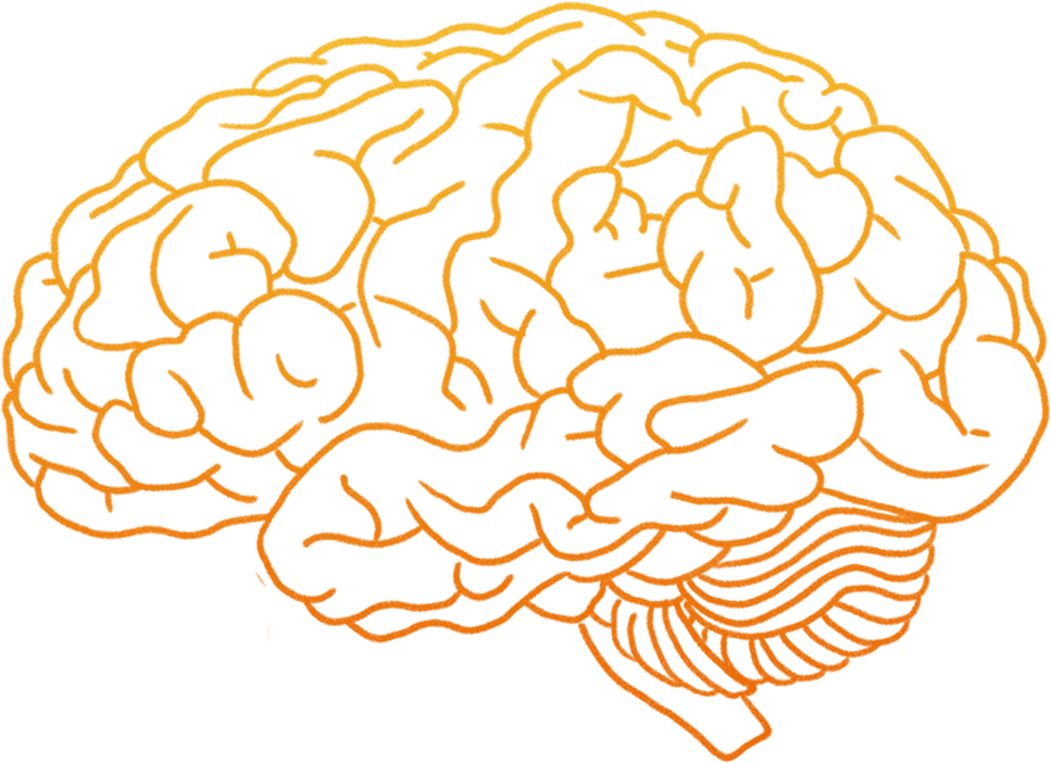This Is Your Brain On Hip Hop How Rap Music Affects Human Emotion