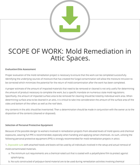 Bad Axe Mold Solutions