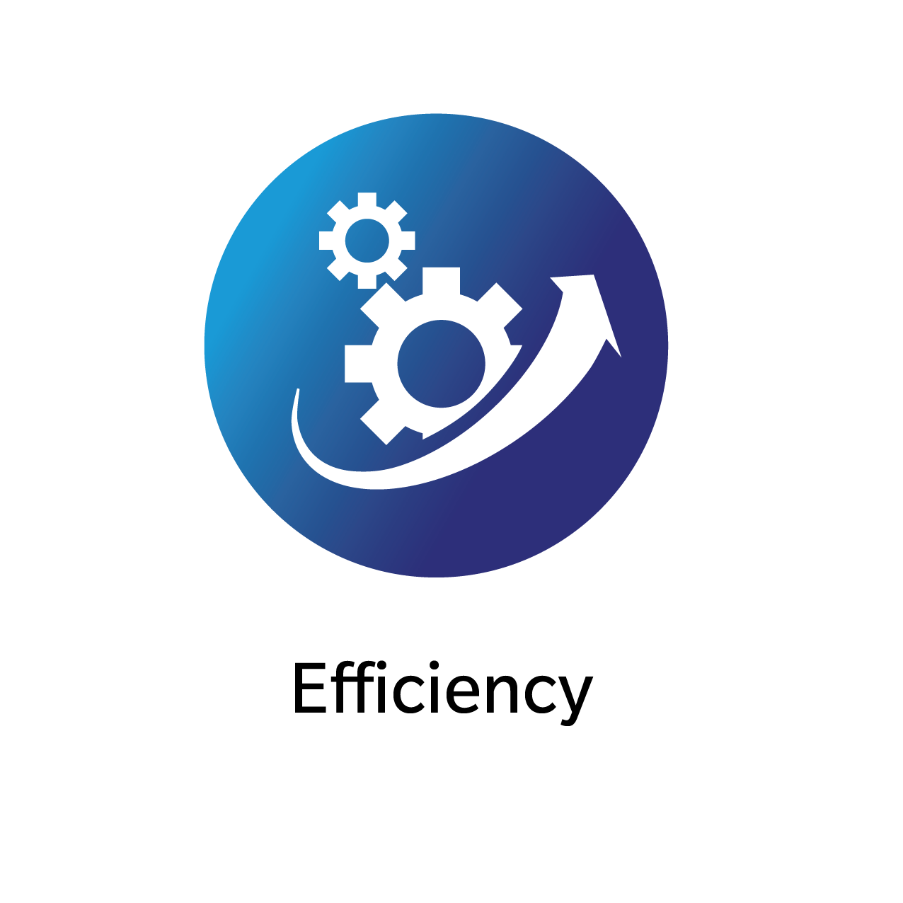 ZB Edge (US) 31022 LIVE