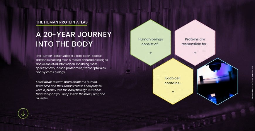 HPA Microsite