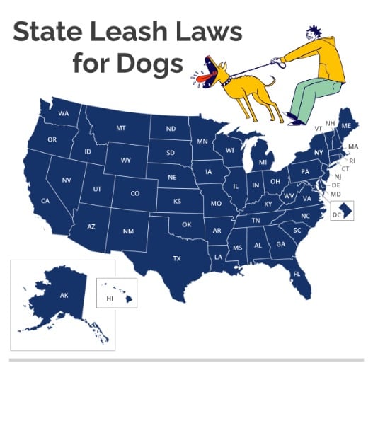 State Leash Laws for Dogs