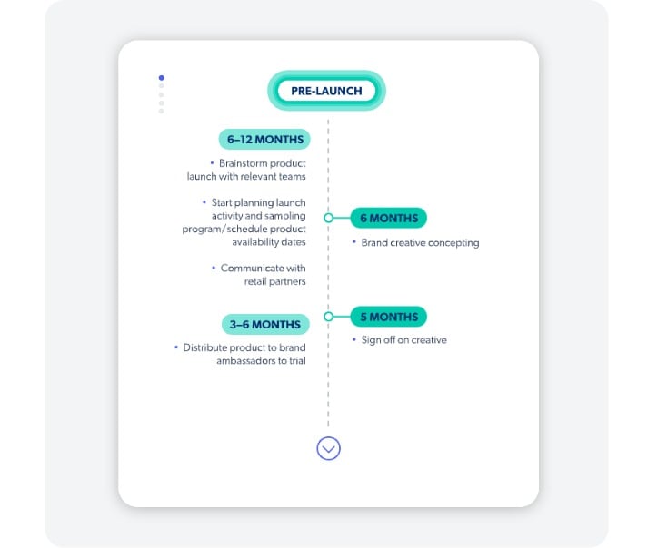 PRODUCT TIMELINE DPREVIEW visual data 5