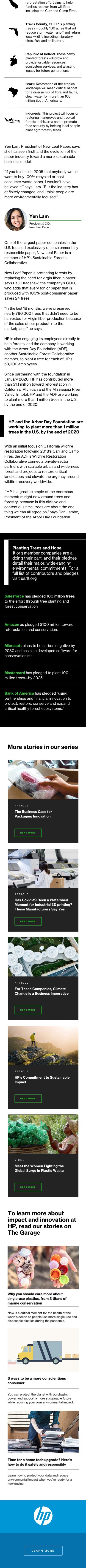 When Forests Thrive People And Businesses Prosper Too when forests thrive people and