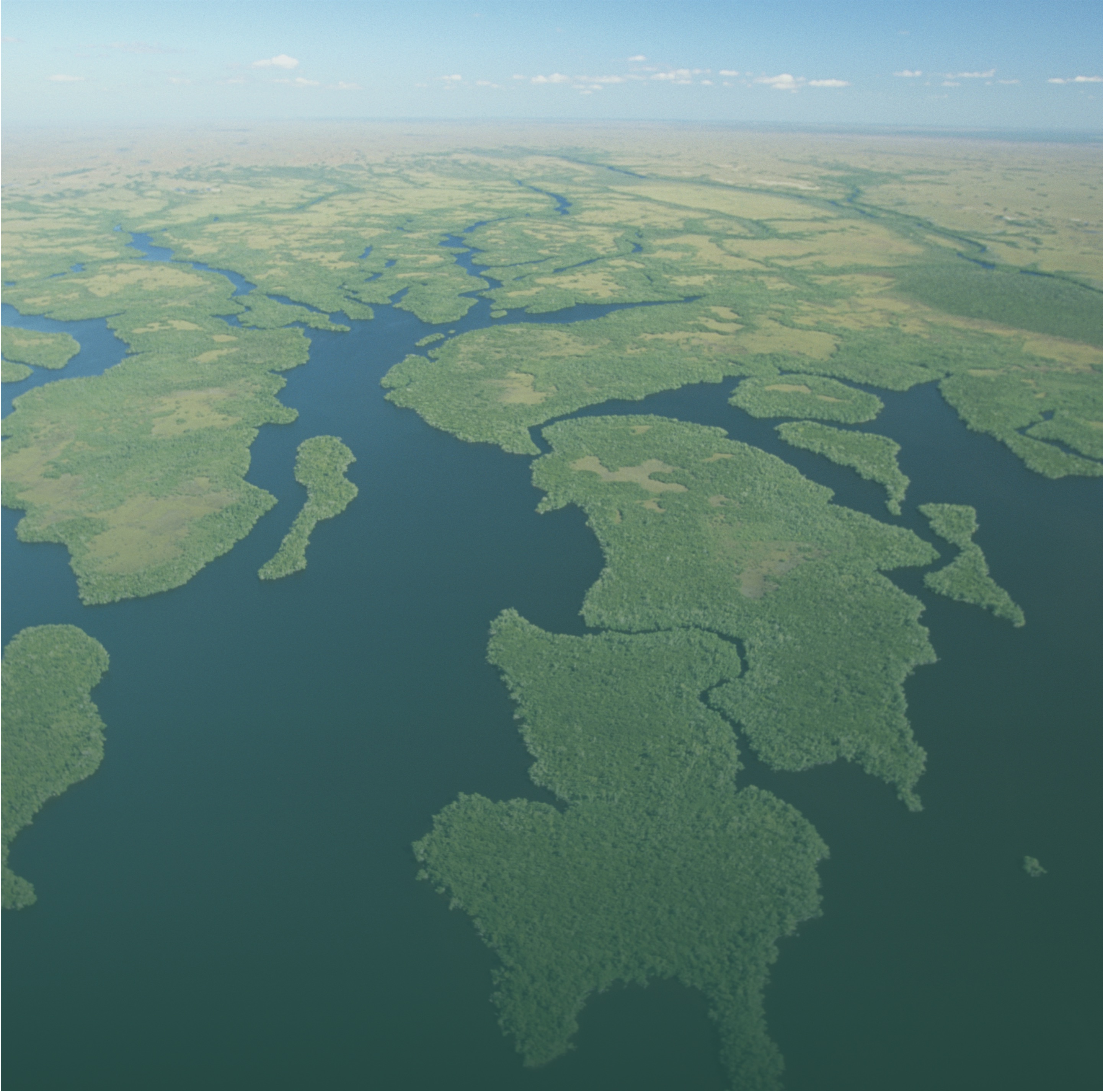 Investing in Nature to Address Climate Change