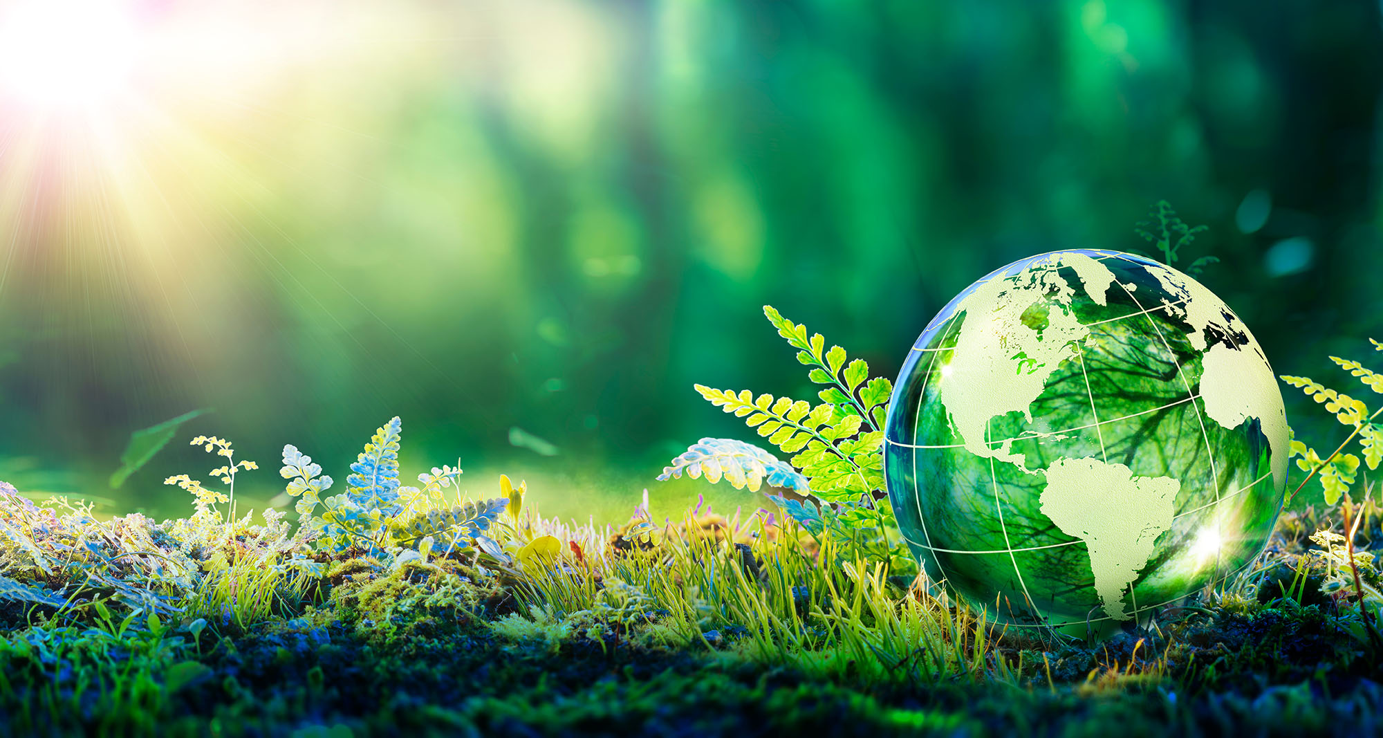 Navigate Label Adhesive Sustainability sustainability, label adhesives