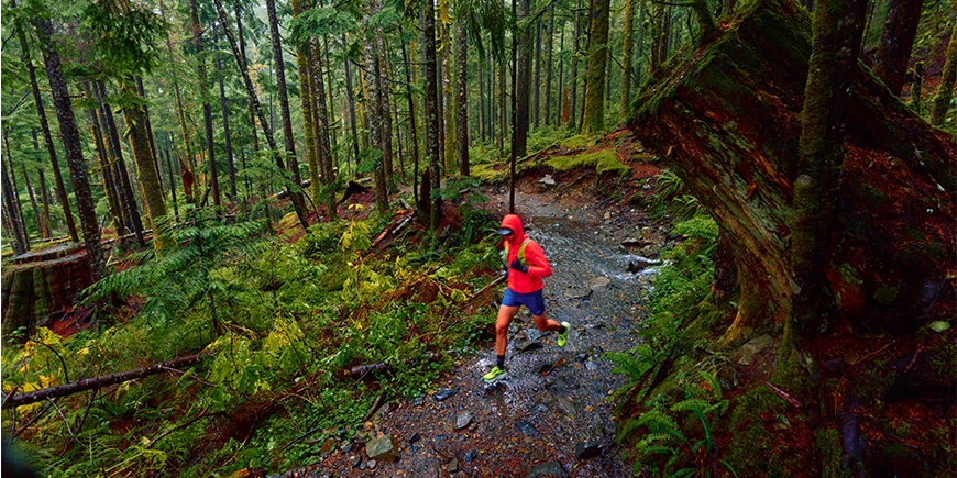 JP running in the forest