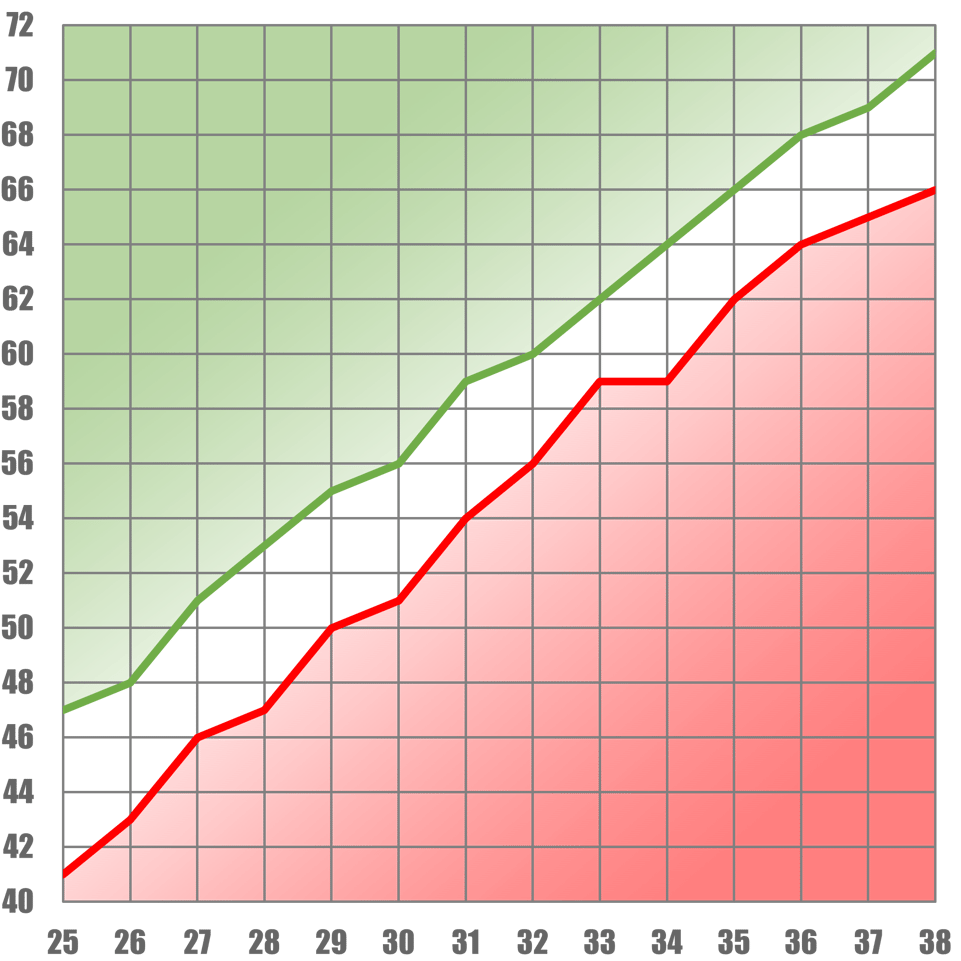 A Marcha Bien La Temporada De Tu Equipo
