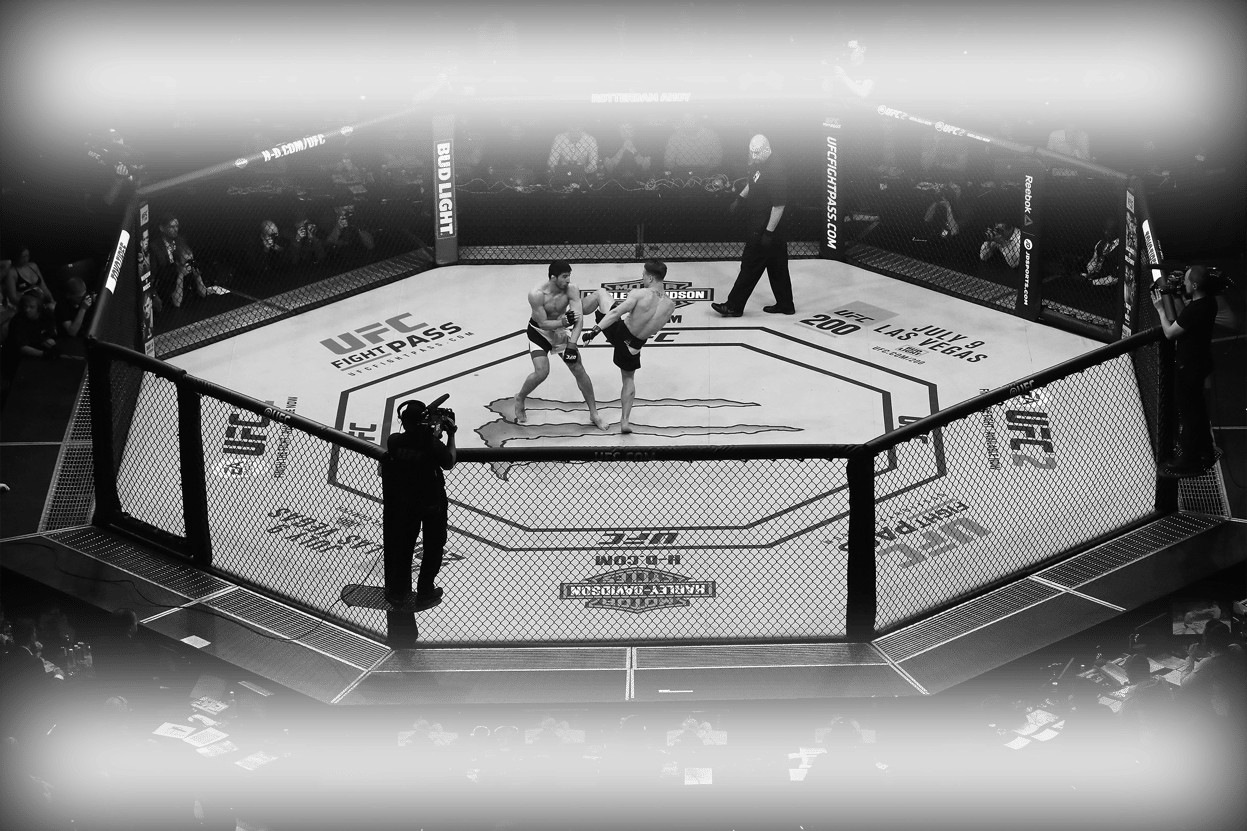 Ufc London 19