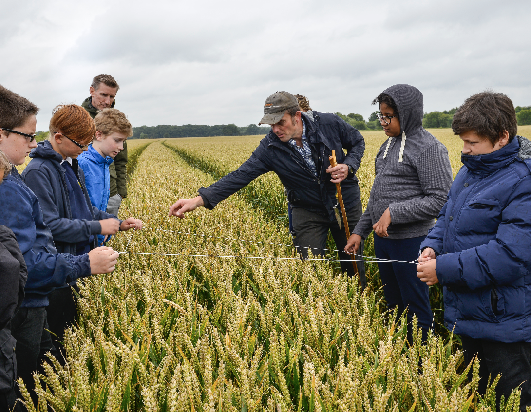 Landscape Photo of patchwork farmland in Somerset England. Low clouds settling over the valley.