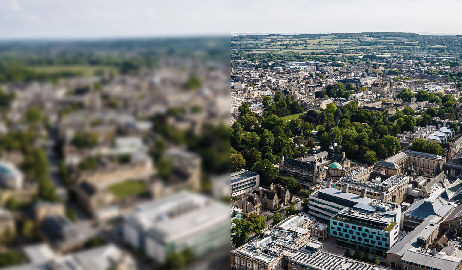 Life sciences Which City? Which Sector? v01