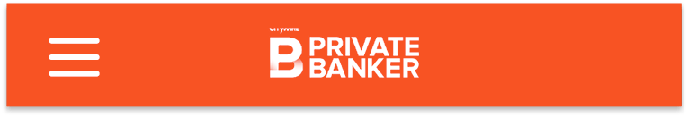 Private Banker Germany Issue 6 Mobile