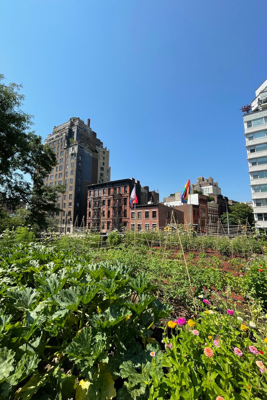Chen's Garden  in Brooklyn, NY