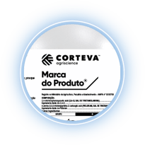 Novas Embalagens Crop