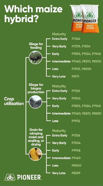 Decision Tree Component - Maize