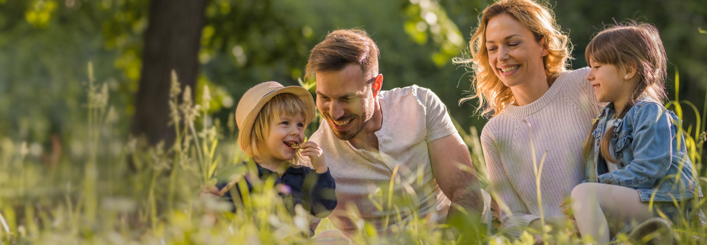 1259 MS Home dentist, dentists, provider, providers, log in