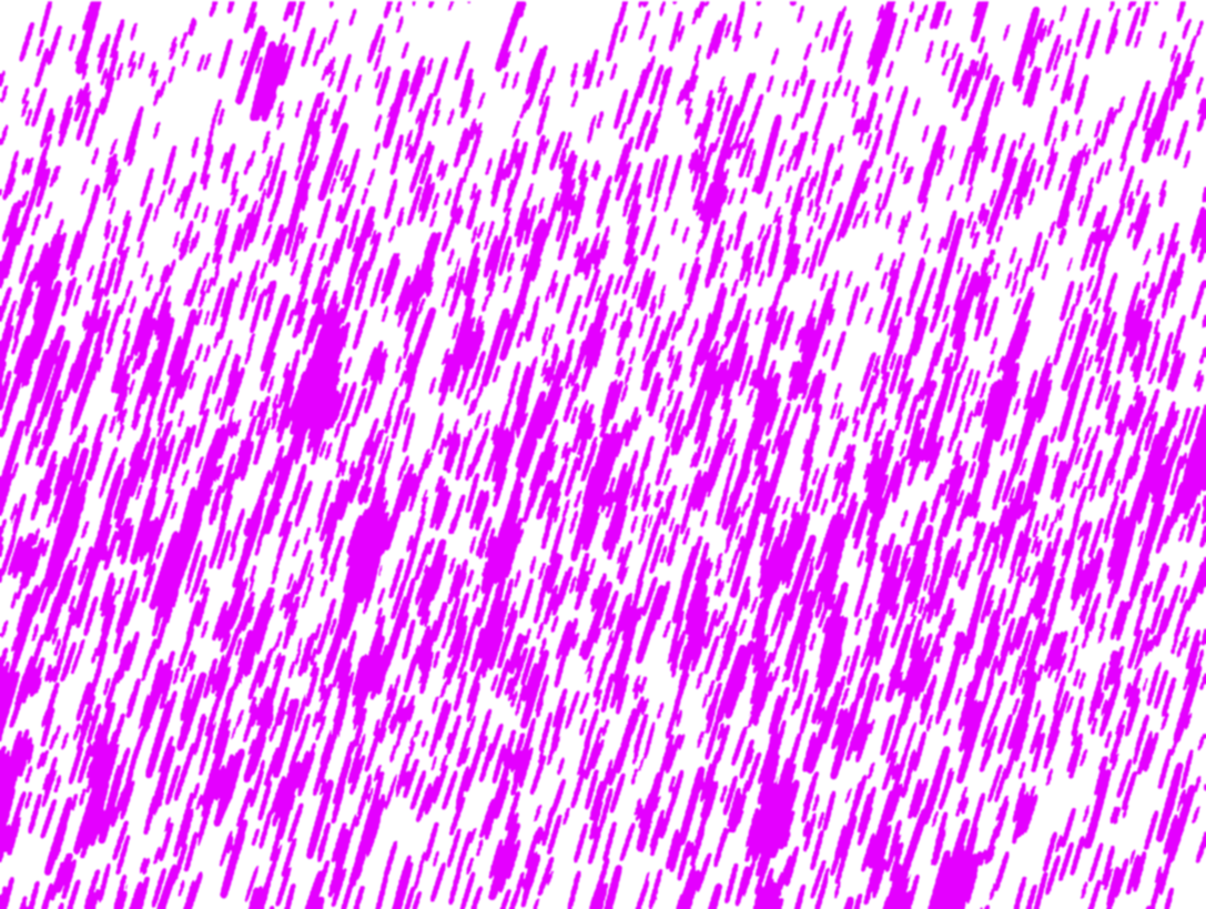 Nba City Edition Desktop