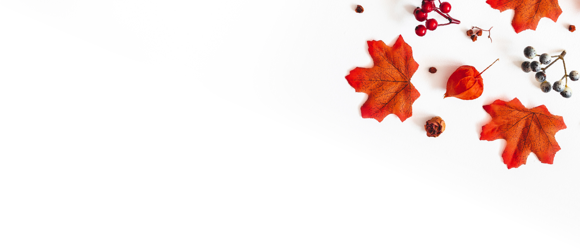 Holiday Continuity | Food Lion