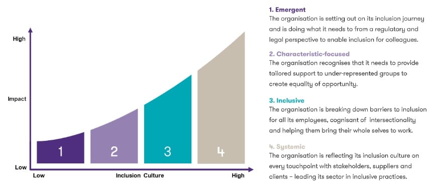 DS4157 Inclusion maturity model (Chloe L Baybutt)