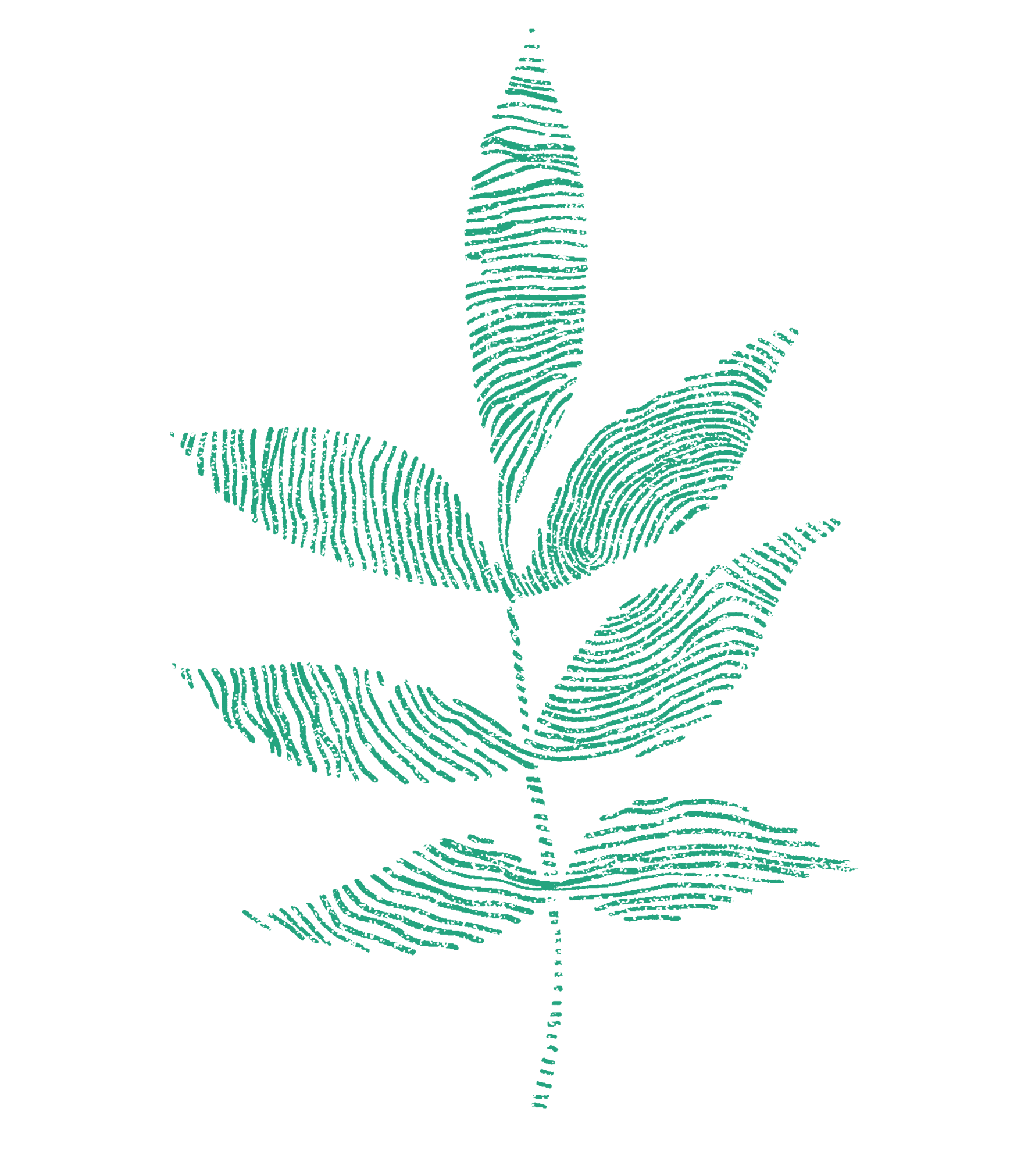 Decorative plant illustration