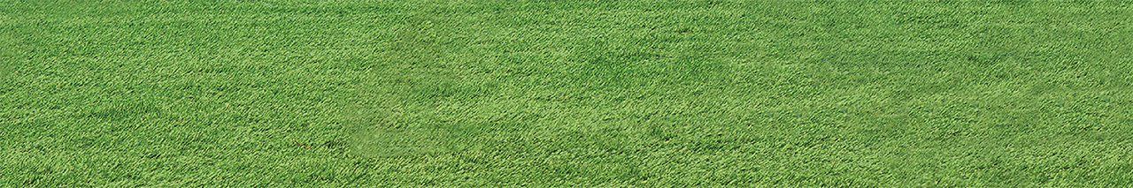 Green Lawn