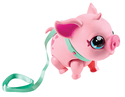 My Pet Pig Piggles