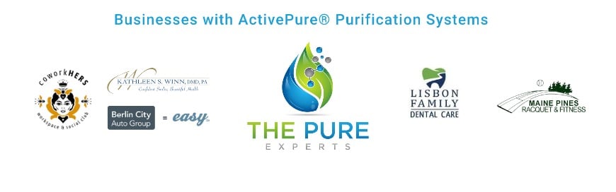 Pure Experts - Our Businesses