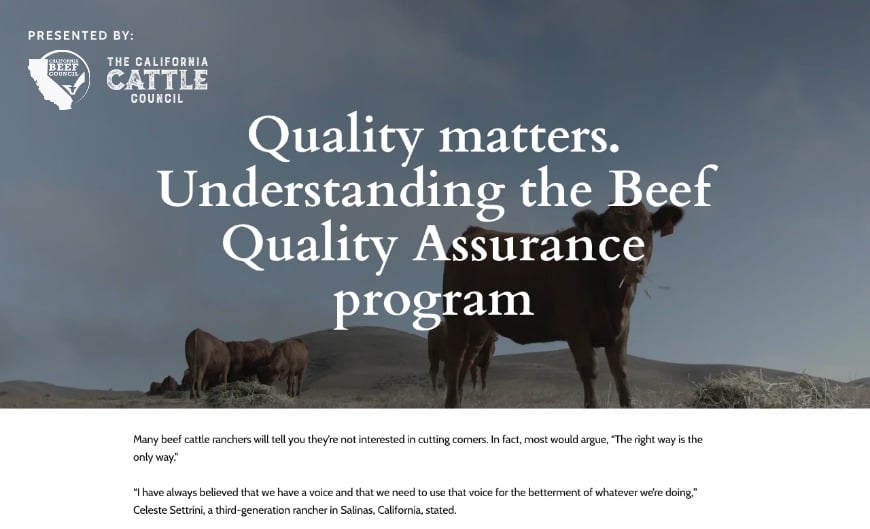CA Beef Beef Quality Assurance