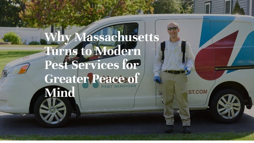 Modern Pest Mass