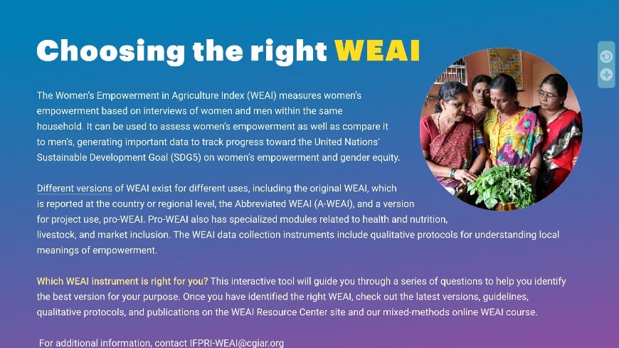 WEAI Decision Tree