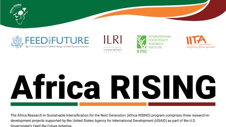 Africa RISING