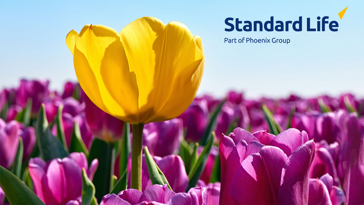 Spotlight Pension Risk Transfer Market in partnership with Standard