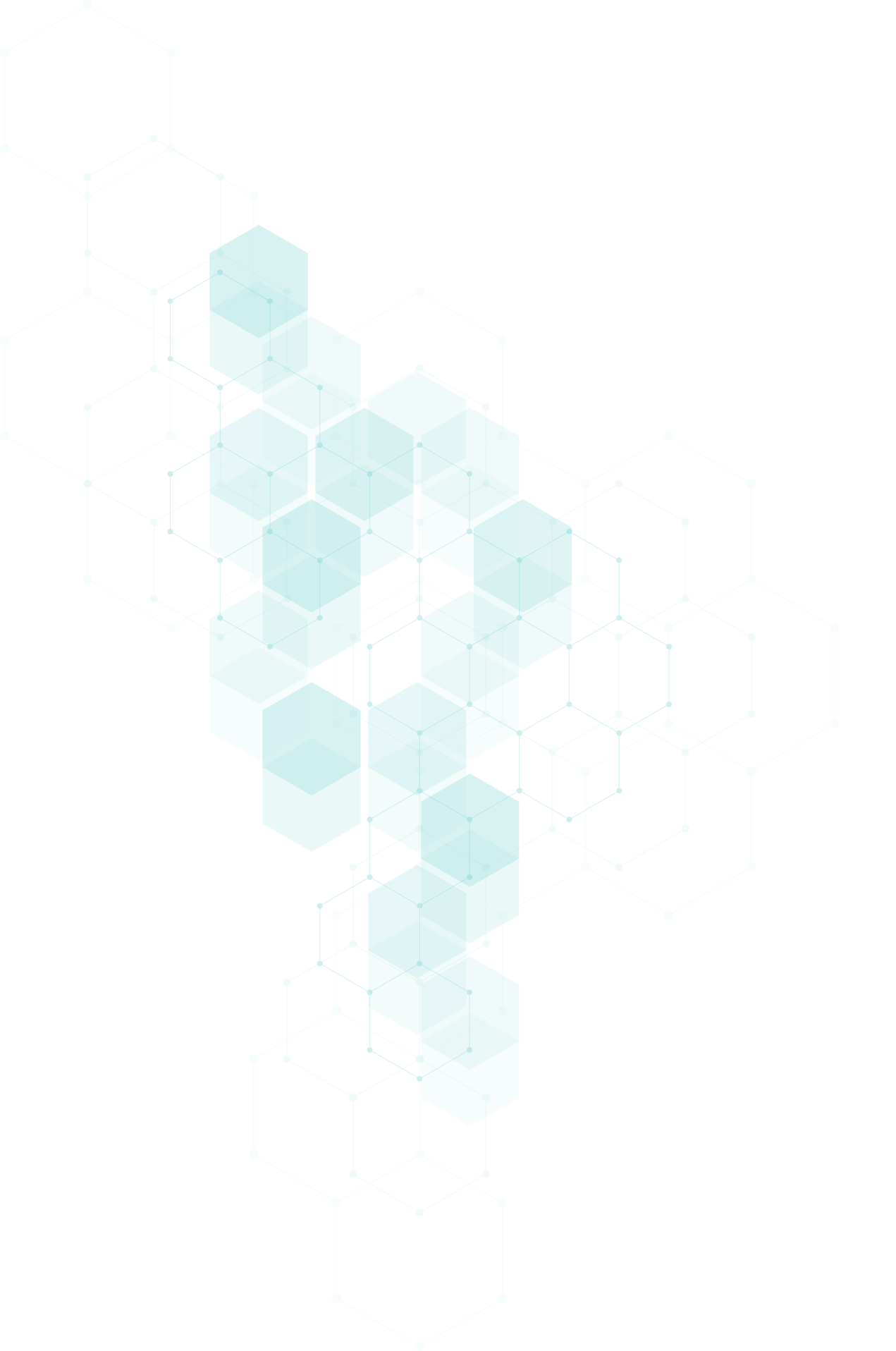 Ceros: NPWT