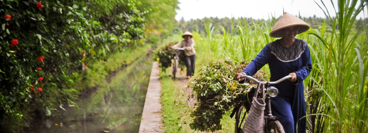 20 Ressources Essentielles Pour La Population Sante Et Environnement Phe Succes Des Connaissances