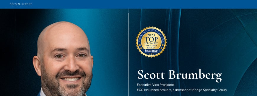 Iba Top Specialist Broker Awards Property IBA Top Specialist Brokers 2023 - Scott Brumberg