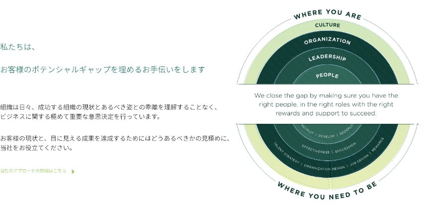 Korn Ferry Potential Gap Japanese Translation