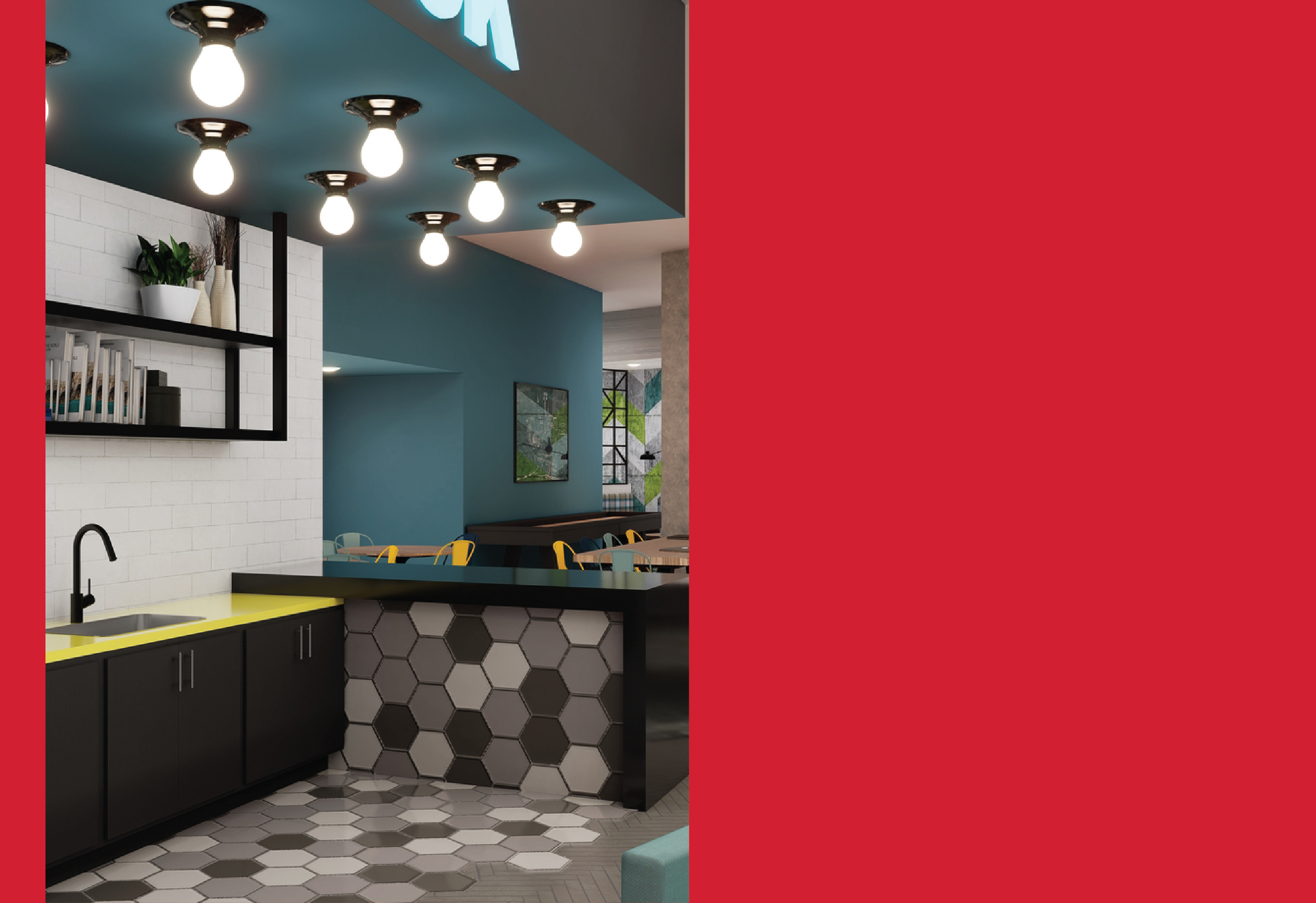 Standard Raleigh eBrochure