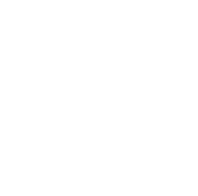 holiday-fy23-starflake-rgb-