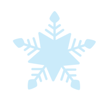 holiday-fy23-starflake-rgb-