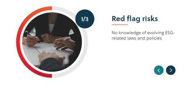ESG - Red flag risks