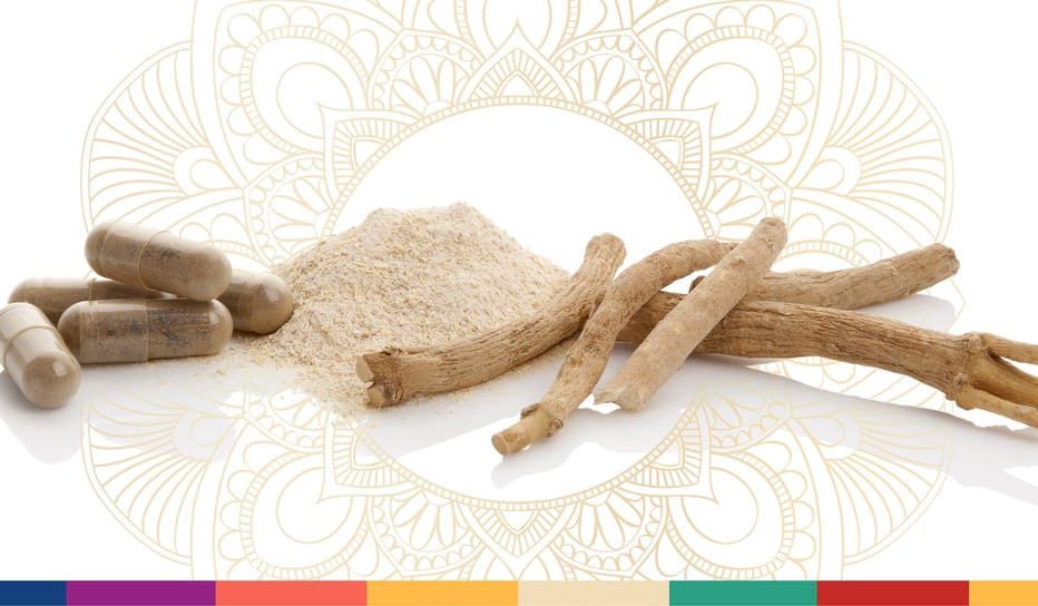 AAT23_LandingPage - SEPTEMBER