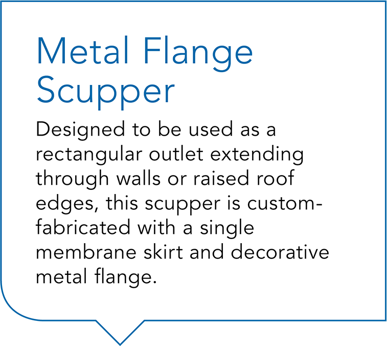 Exceptional Metals