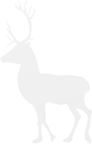 Pgimジャパン クリスマス カード Pgimジャパン クリスマス カード