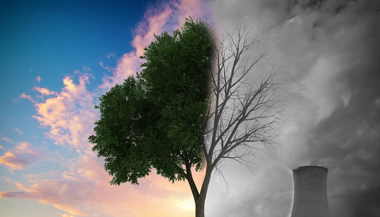 How Are Markets Pricing In Climate Risk