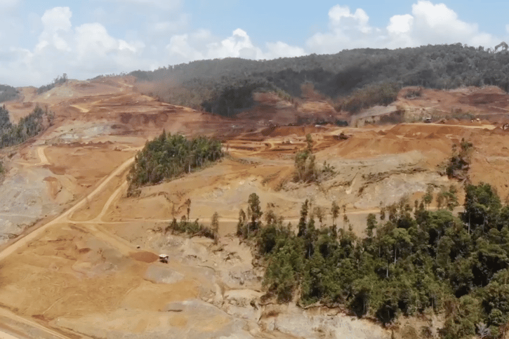 Tái trồng rừng bắt đầu ở vùng đất khô cằn