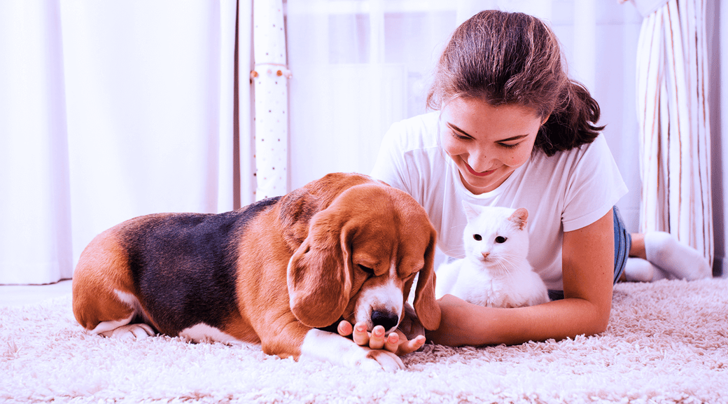 Pawtown 2024 puppy pads