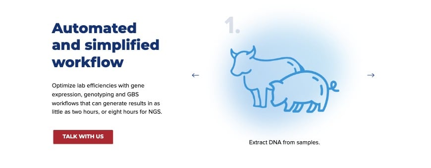 Livestock Workflow