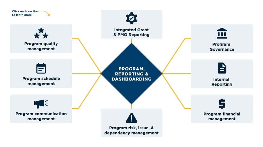 Program reporting and dashboarding